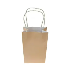 Pastel Peach Paper Party Bag 21.5cm x 13cm x 8cm 5pk